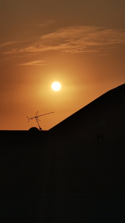 مشاركاتي في أنت الراصد