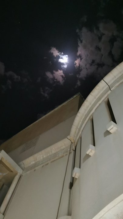 مشاركاتي في أنت الراصد