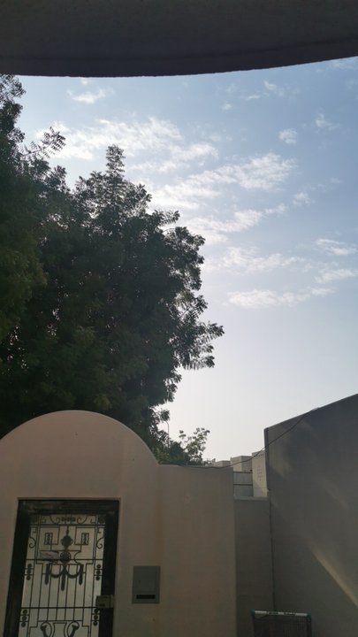 مشاركاتي في أنت الراصد