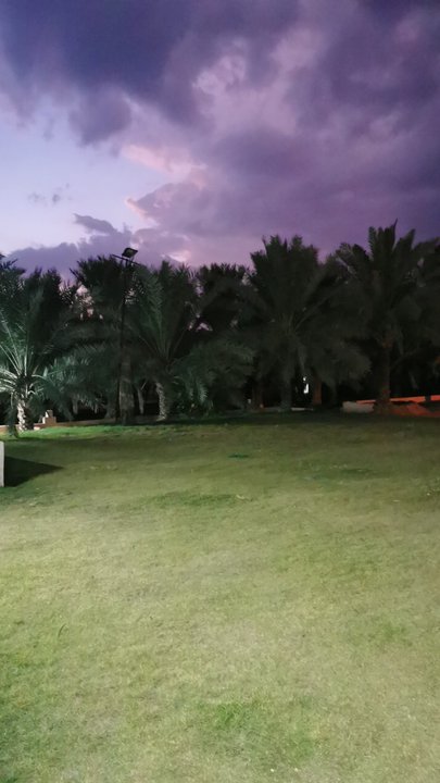 مشاركاتي في أنت الراصد