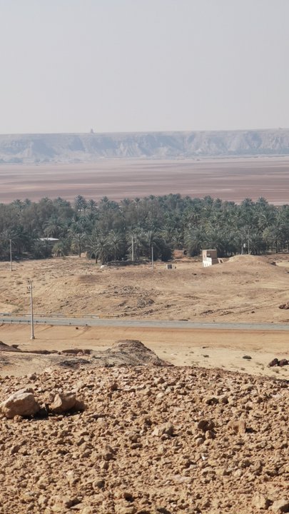 مشاركاتي في أنت الراصد