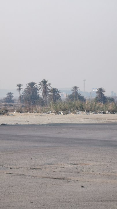 مشاركاتي في أنت الراصد