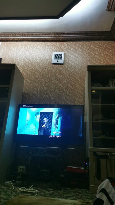 مشاركاتي في أنت الراصد