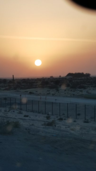 مشاركاتي في أنت الراصد