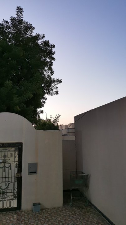 مشاركاتي في أنت الراصد