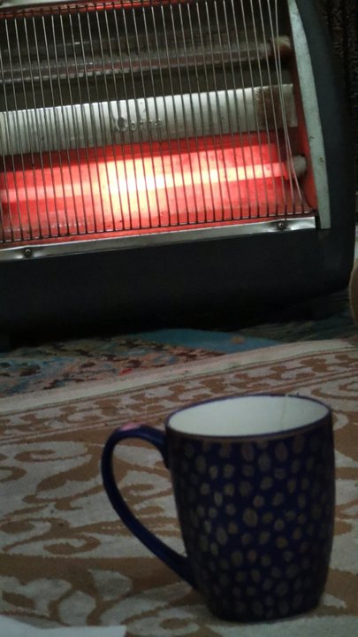 مشاركاتي في أنت الراصد