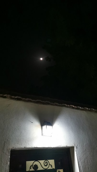 مشاركاتي في أنت الراصد