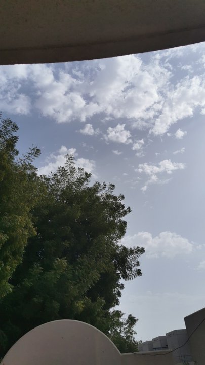 مشاركاتي في أنت الراصد