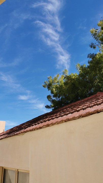 مشاركاتي في أنت الراصد