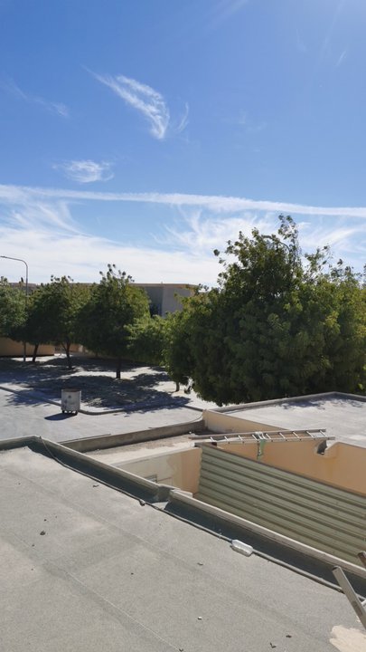 مشاركاتي في أنت الراصد