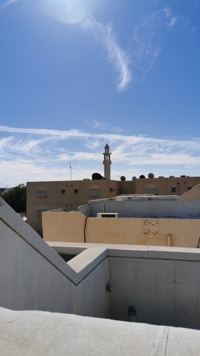 مشاركاتي في أنت الراصد