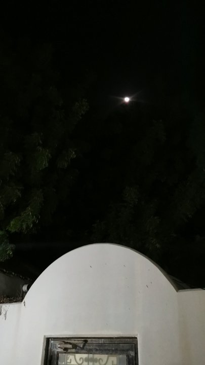 مشاركاتي في أنت الراصد