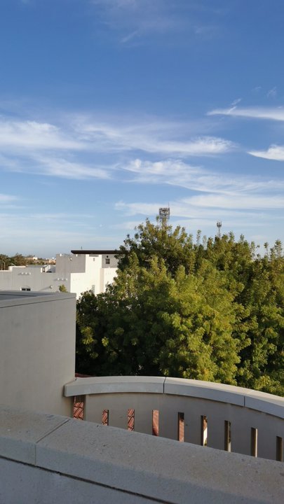 مشاركاتي في أنت الراصد