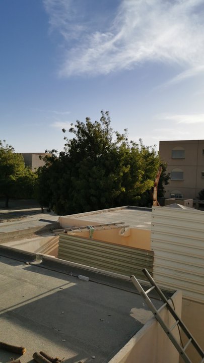 مشاركاتي في أنت الراصد