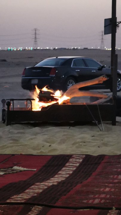 مشاركاتي في أنت الراصد