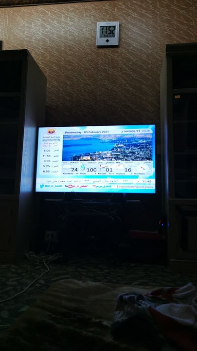 مشاركاتي في أنت الراصد