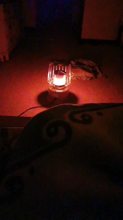 مشاركاتي في أنت الراصد