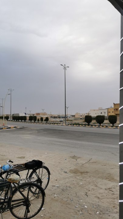 مشاركاتي في أنت الراصد