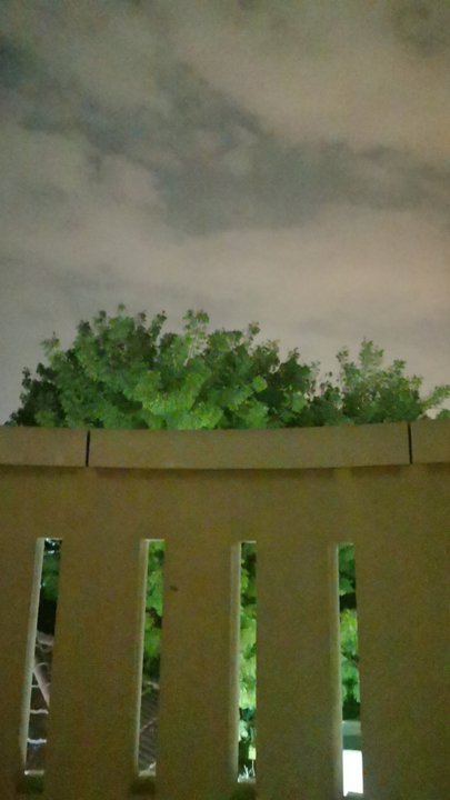 مشاركاتي في أنت الراصد