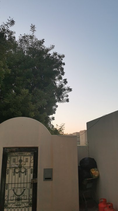 مشاركاتي في أنت الراصد