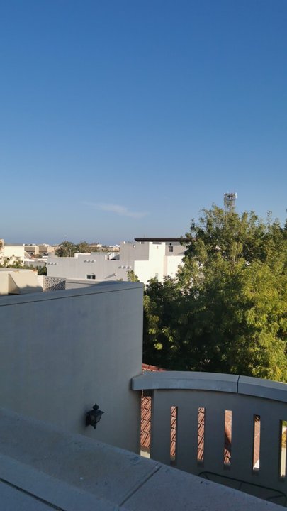 مشاركاتي في أنت الراصد