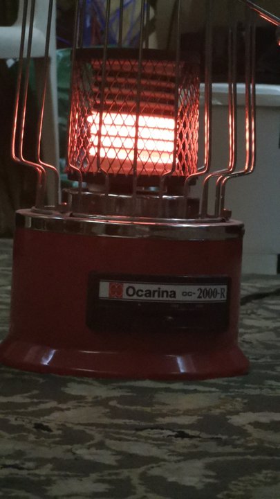 مشاركاتي في أنت الراصد