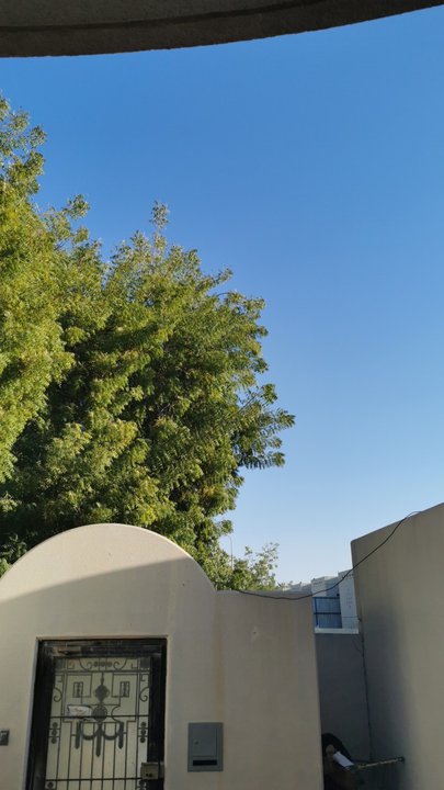 مشاركاتي في أنت الراصد