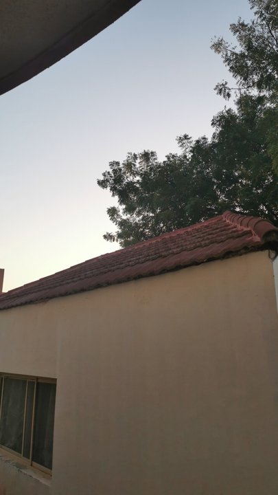 مشاركاتي في أنت الراصد