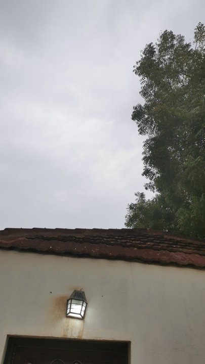 مشاركاتي في أنت الراصد