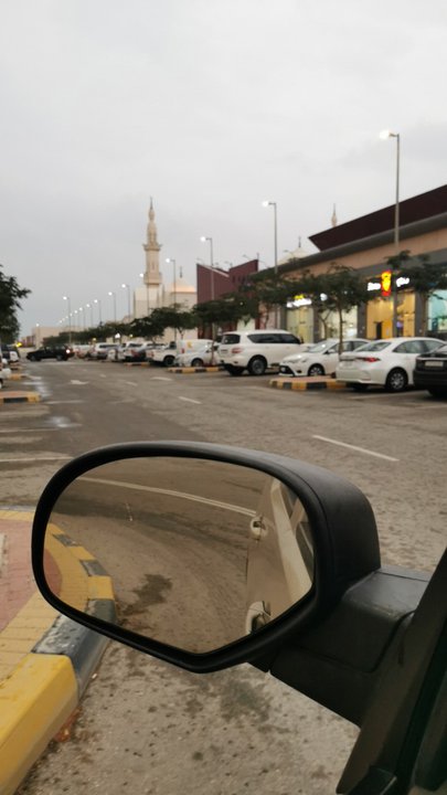 مشاركاتي في أنت الراصد