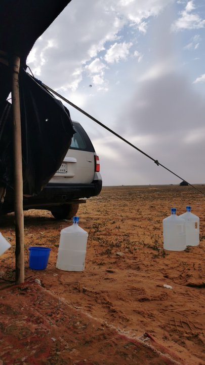 مشاركاتي في أنت الراصد