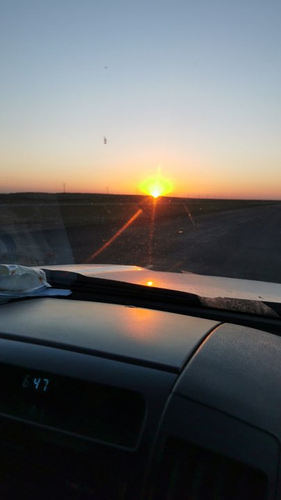 مشاركاتي في أنت الراصد