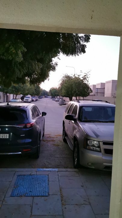 مشاركاتي في أنت الراصد