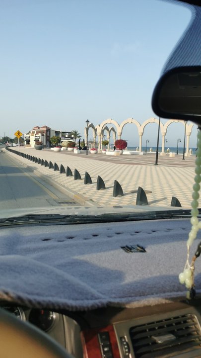 مشاركاتي في أنت الراصد