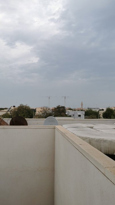 مشاركاتي في أنت الراصد