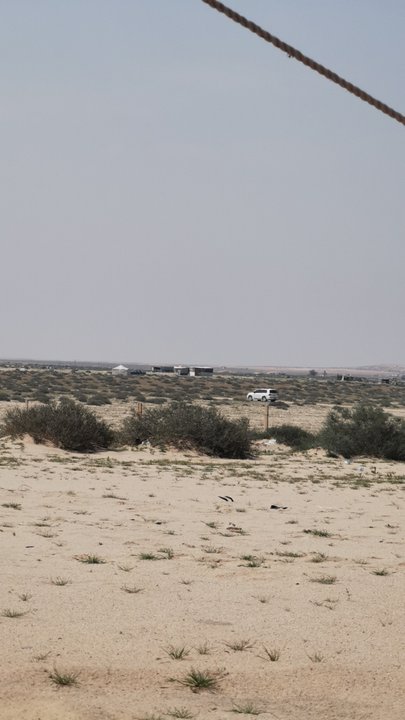 My Crowdsourcing Posts