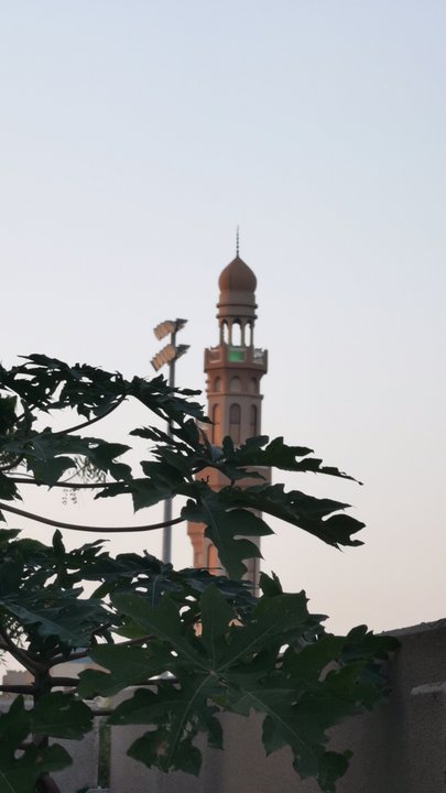 مشاركاتي في أنت الراصد