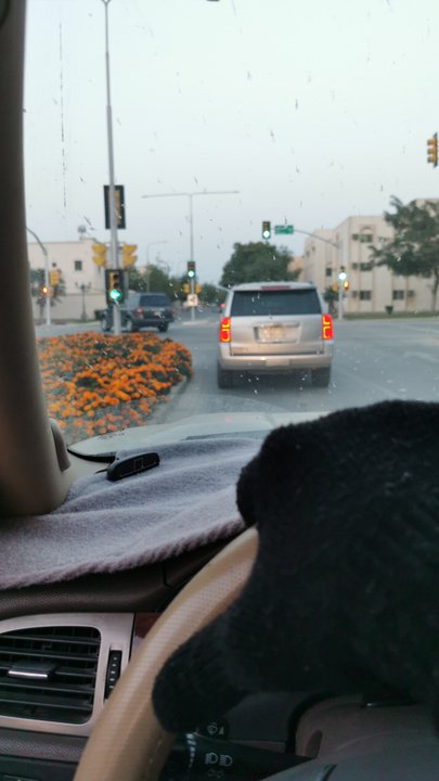 مشاركاتي في أنت الراصد