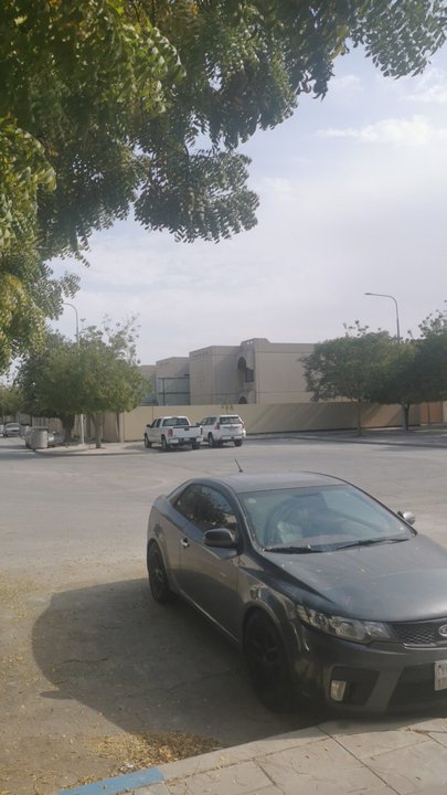 مشاركاتي في أنت الراصد