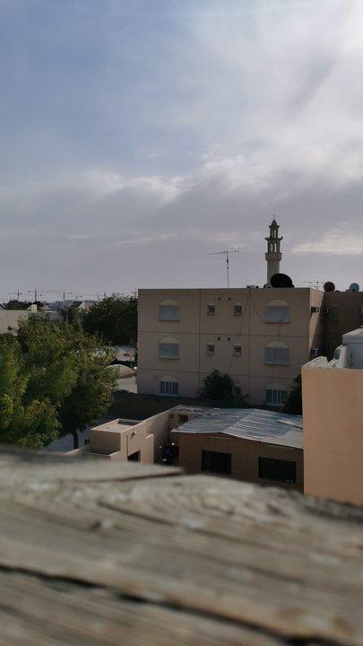 مشاركاتي في أنت الراصد