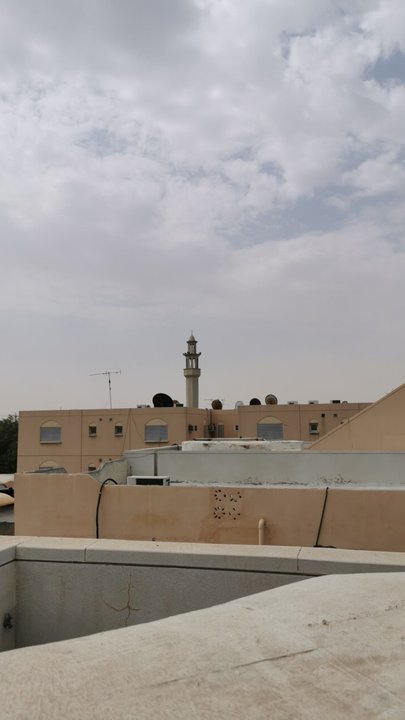 مشاركاتي في أنت الراصد