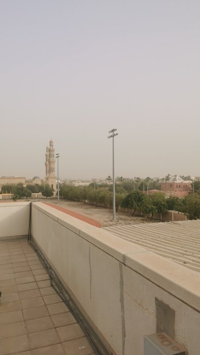 مشاركاتي في أنت الراصد