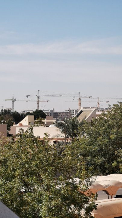 مشاركاتي في أنت الراصد