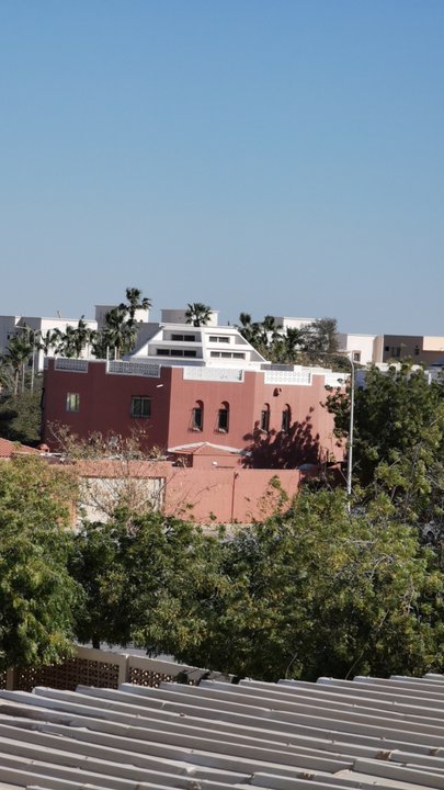 مشاركاتي في أنت الراصد