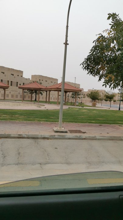 مشاركاتي في أنت الراصد