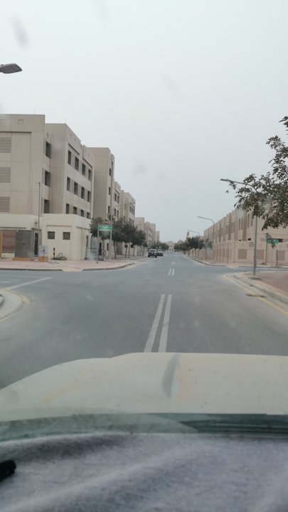 مشاركاتي في أنت الراصد