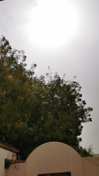 مشاركاتي في أنت الراصد