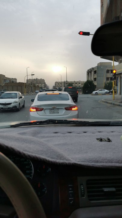 مشاركاتي في أنت الراصد