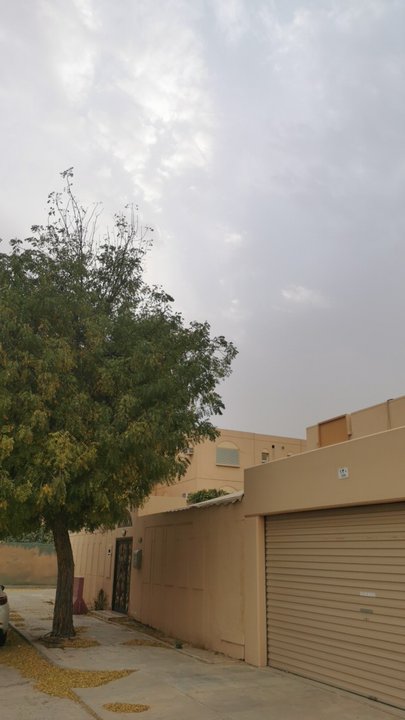 مشاركاتي في أنت الراصد