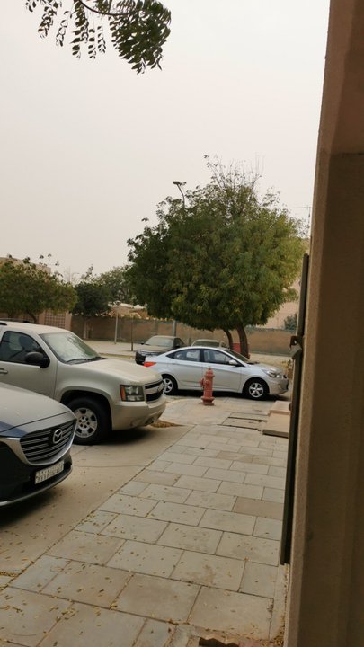 مشاركاتي في أنت الراصد